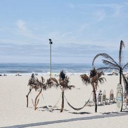 portugal-esmoriz-surfhouse-wavetours-strand-promenade-palmen-ozean